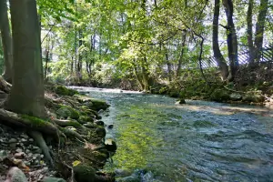 potok Štiavnica protékající soukromým lesem chaty Liptovský Ján