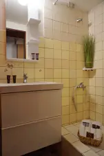 koupelna se sprchovým koutem a umyvadlem