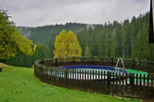 na pozemku se nachází malá chata s finskou saunou a ochlazovací kádí v podobě bazénu