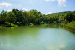 možnost rybaření nabízí rybník Žabka (100 m od chaty)