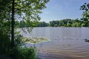 pískovna se od chaty nachází jen 200 m (přírodní koupání)