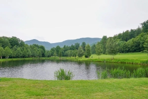 rybník Malý Štolpich (koupání) - 350 m od chalupy