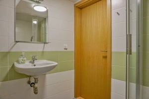 koupelna se sprchovým koutem a umyvadlem v podkroví