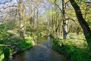 říčka Kamenice