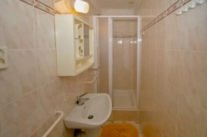 koupelna se sprchovým koutem a umyvadlem v podkrovím patře