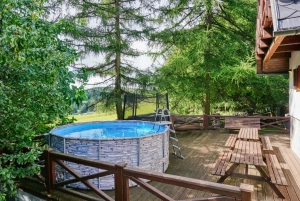 bazén, trampolína a posezení na terase