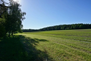 okolí chalupy 
