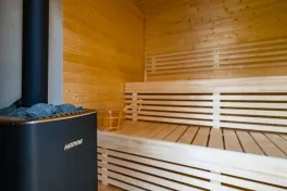 finská sauna