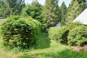 cesta k chatě od parkoviště