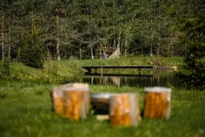 na rybníku u srubu je možnost rekreačního rybolovu