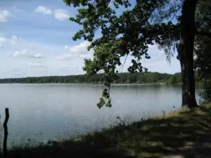 rybník Dvořiště je od chaty vzdálen asi 300 m
