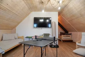 společenská místnost - malý stolní tenis, chytrá TV, stojací boxovací pytel