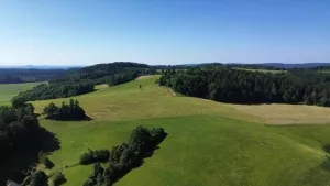 Petrovice a okolí