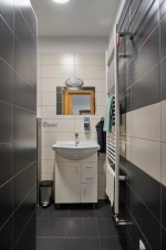 koupelna se sprchovým koutem, umyvadlem a WC