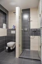 apartmán č. 2 - koupelna se sprchovým koutem, umyvadlem a WC