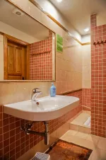 menší apartmán v podkroví - koupelna