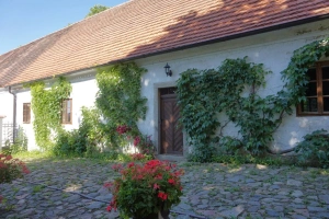 vstup do zámku (chalupy) Cerhonice