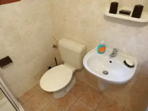 koupelna je vybavena sprchovým koutem, WC a umyvadlem