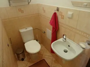 samostatné WC s umyvadlem v přízemí