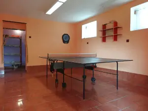 místnost se stolním tenisem