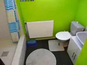 část č. 1 - koupelna se sprchovým koutem, WC a umyvadlem