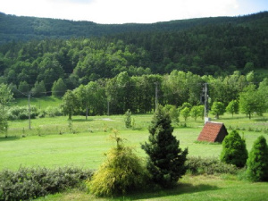 Pohled od penzionu na okolní lesy