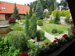 výhled z terasy na zahradu se zahradním jezírkem