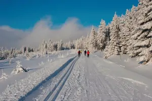 upravovaná lyžařská stopa začíná 500 m od chalupy