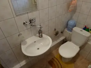 koupelna v přízemí je vybavena sprchovým koutem, WC a umyvadlem