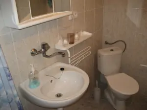 Koupelna je vybavena sprchovým koutem, umyvadlem a WC