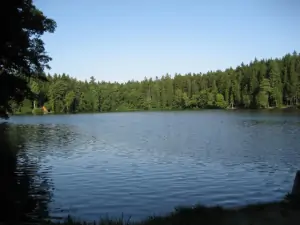 Rybník je využíván k přírodnímu koupání a rybaření