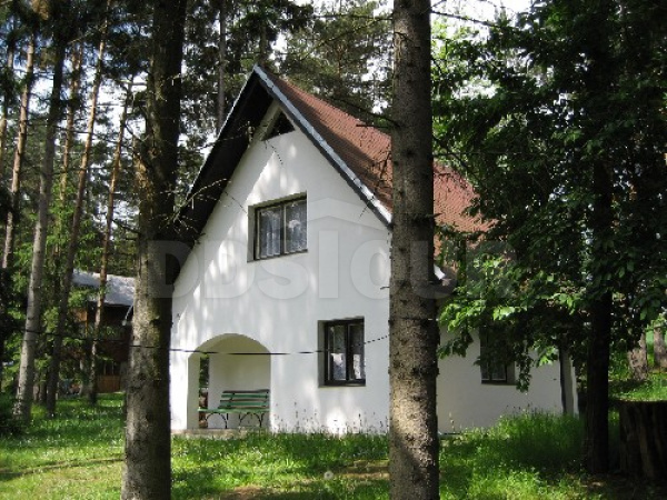 Chata Jackov leží v chatové osadě v lese nedaleko rybníku