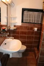 koupelna je vybavena sprchovým koutem, wc a umyvadlem