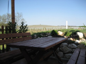 Také z terasy je krásný výhled na místní vinohrady