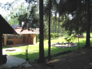 Pohled z lesa na zahradu chaty