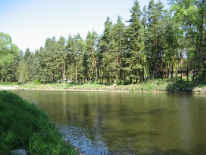 řeka Lužnice se nachází cca. 200 m od objektu - možnost rybaření