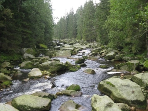 Tip na výlet: Povydří