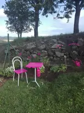 růžový kout v zahradě