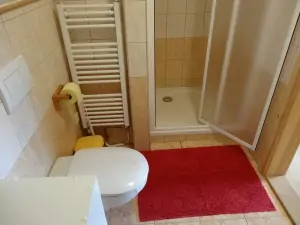 WC a sprchový kout v koupelně v podkroví
