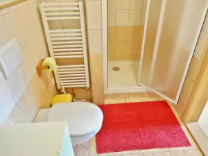 WC a sprchový kout v koupelně v podkroví