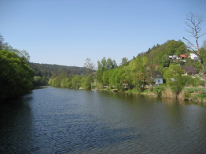 řeka Dyje se od chatky nachází cca. 100 m