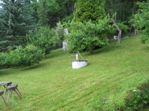 Pohled zahradou k chatě Dubné, která je ukryta v zeleni