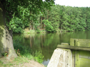 200 m od chaty se nachází rybník - možnost rybaření (povolenky lze zakoupit v Rybářství Hluboká nad Vltavou)