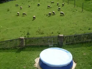 nadzemní kruhový bazén a pastvina za zahradou