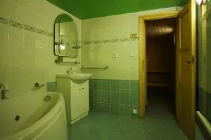 koupelna s hydromasážní vanou a umyvadlem - vstup do sauny