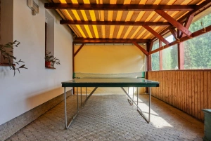 stolní tenis v pergole