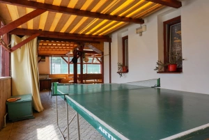 stolní tenis v pergole