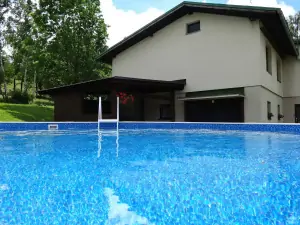 bazén u chalupy nabízí během horkého léta příjemné osvěžení
