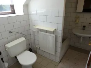 Koupelna se srpchovým koutem, WC a umyvadlem v podkroví