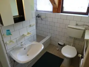 Koupelna se srpchovým koutem, WC a umyvadlem v podkroví